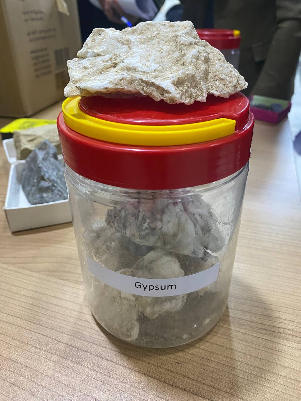Gypsum rock sample