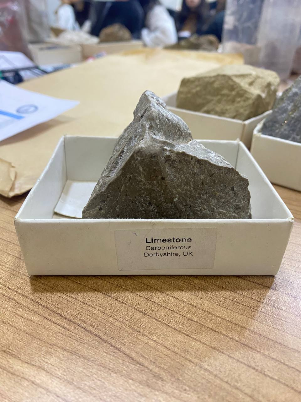 Limestone rock