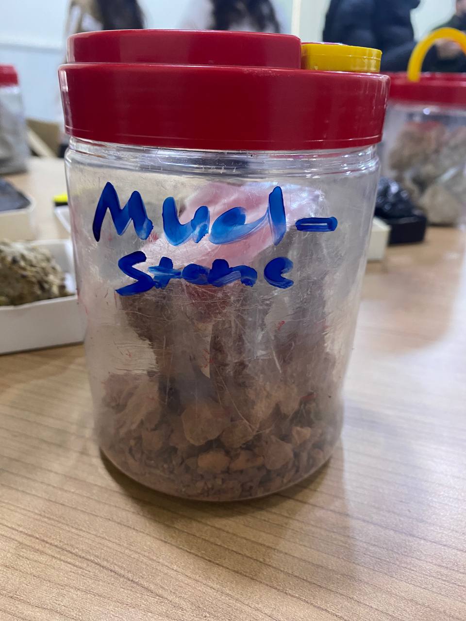 Mudstone rock sample