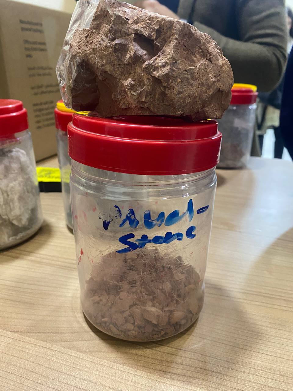 Mudstone rock