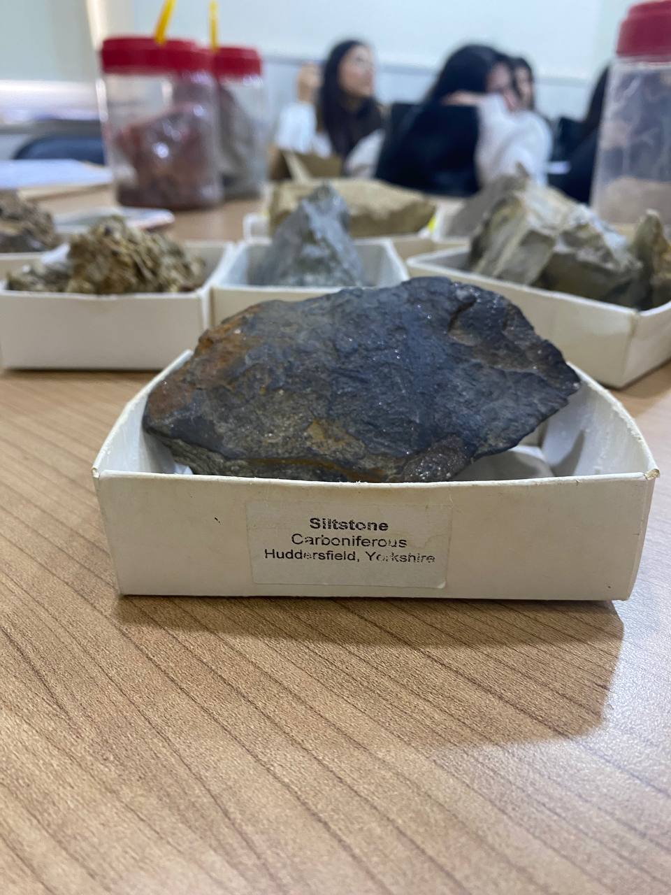 Siltstone rock